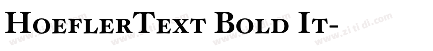 HoeflerText Bold It字体转换
